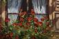 Mobile Preview: Rosen am Fenster guenther fruehmesser Öl auf Leinwand Detailbild von der gallerie EinBild EinRahmen